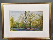 Springtime Countryside