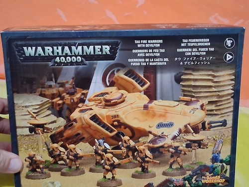 Tau fire warriors - tau, with
