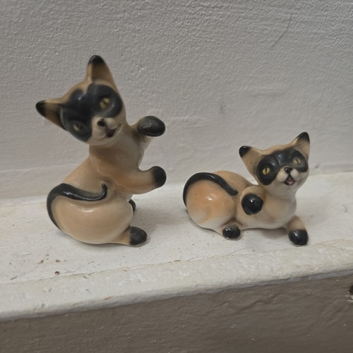 Wade siamese beige - 2,