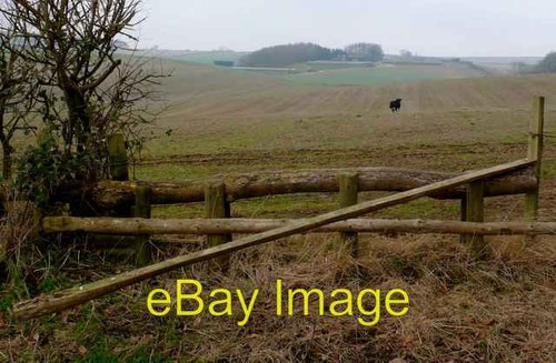 Photo 6x4 cross country - cross,