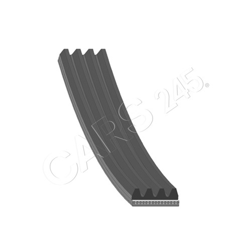 Ribbed belt blue print fits - belt,