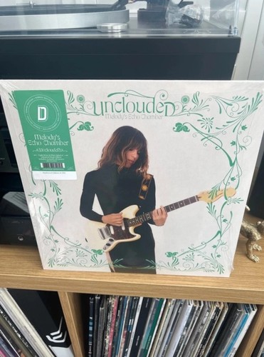 Melody echo chamber - chamber,