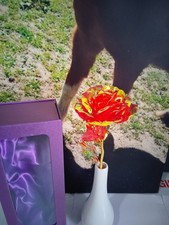 Single Red Birthday Rose with