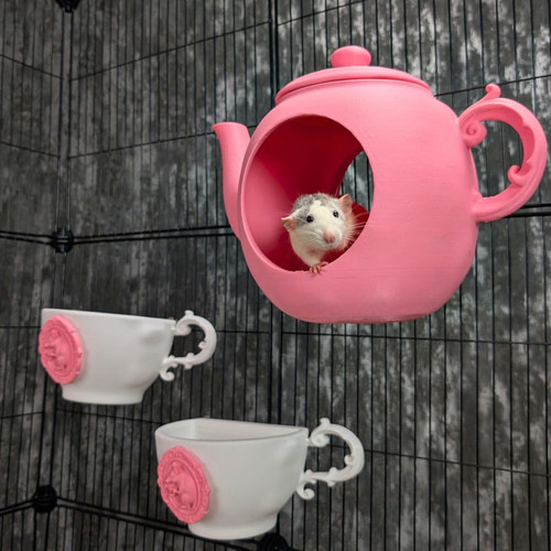 Teapot rat hide and teacup - rat,
