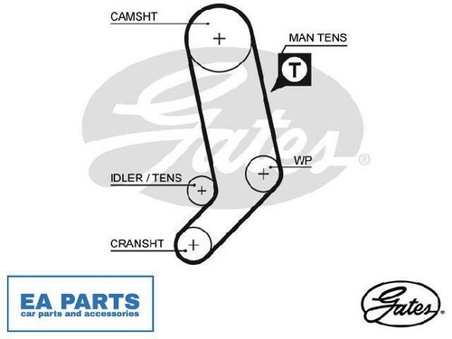Timing belt for - belt, vw