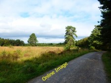 Photo 6x4 Heathy MoD land