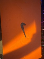 Nike Football Shoes Used Only