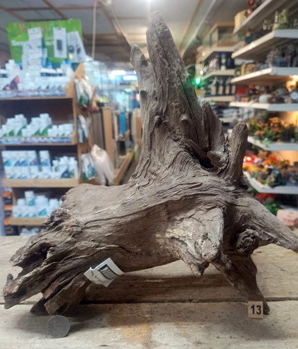 Large corbo root aquarium - corbo,