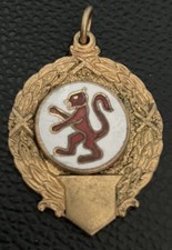 Vintage Enamel Badge Very Old