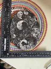 Goniatite And Orthoceras Polished Slice Devonian Morocco Uk Sellers #1