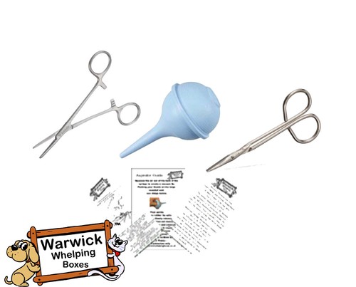 Sterile scissors forceps - scissors,