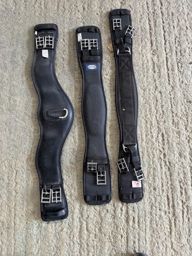 Collegiate anatomical dressage - collegiate,