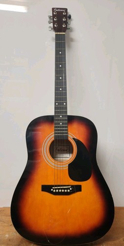 Falcon fg100sb acoustic guitar - fg100sb,