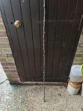 Black Thorn Walking Stick.