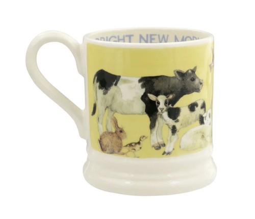 Emma bridgewater new bright - bridgewater,