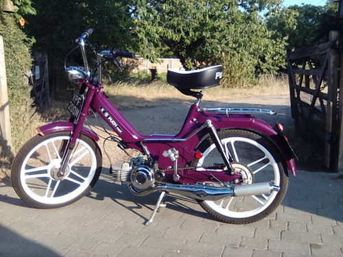 Stunning 1974 puch maxi - stunning,