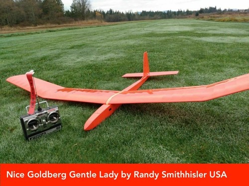 Gentle lady carl goldberg - carl,
