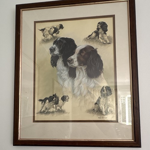 Nigel hemming english springer - english,