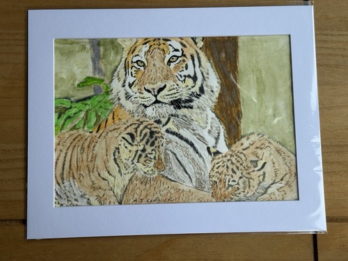 Mark leary wildlife art - wildlife,