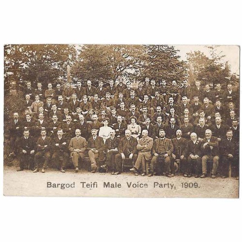 Bargod teifi male - male, voice