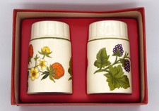 Vintage Royal Worcester Palissy  SUMMER FAYRE  Salt And Pepper Shakers Pots