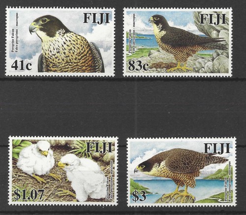 2005 fiji peregrine falcon - peregrine,