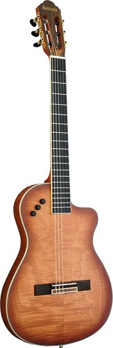 Electro classical guitar - electro,