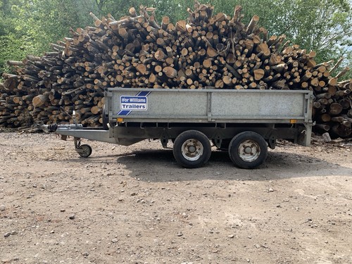 Ifor williams lt85g 2000kg - lt85g,