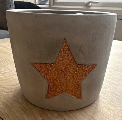 Grey concrete round plant - round,