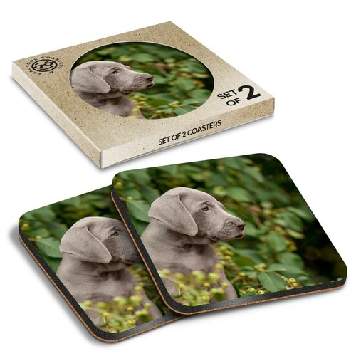 Boxed square coasters - x,