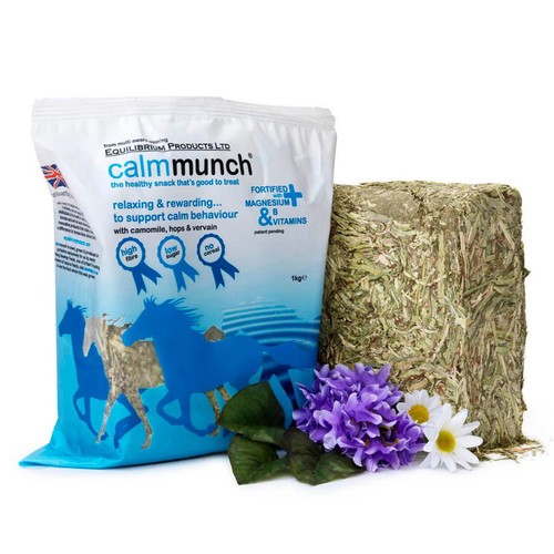 Equilibrium calmmunch horse - equilibrium,