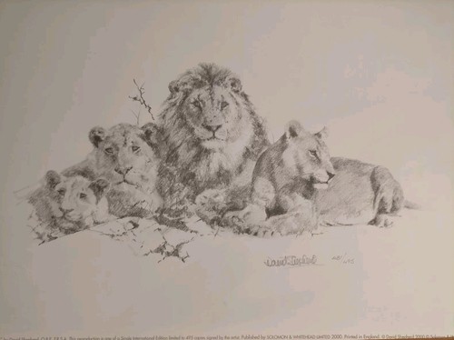 David shepherd lions pencil - david,