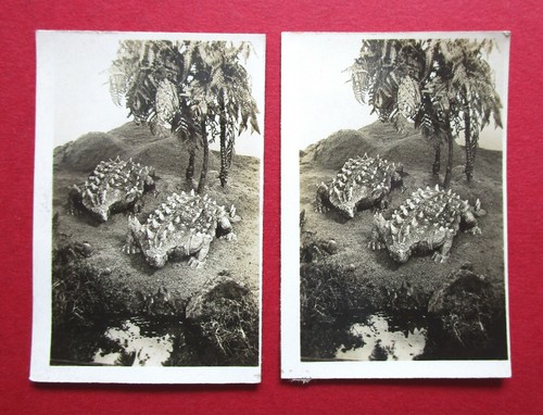 Cavanders camerascope 1930 - 2,