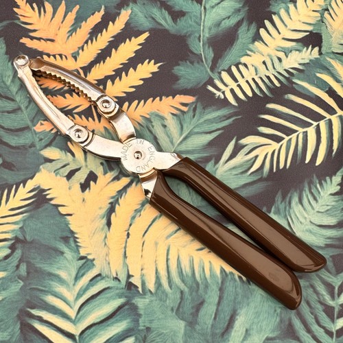 Vintage nutbrown nut - vintage, brown