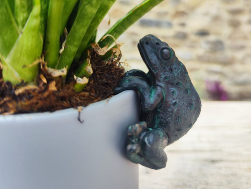 Frog pot hanger resin garden - pot,