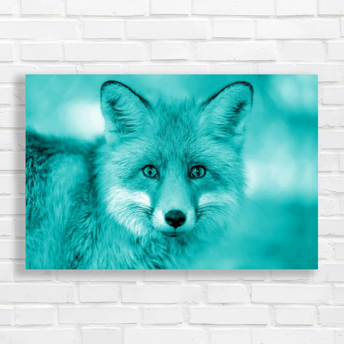 Young fox portrait closeup - fox,