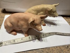 Two China Pigs