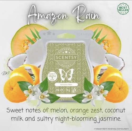 Scentsy amazon rain wax - amazon,