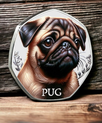 The pug silver commemorative - silver,
