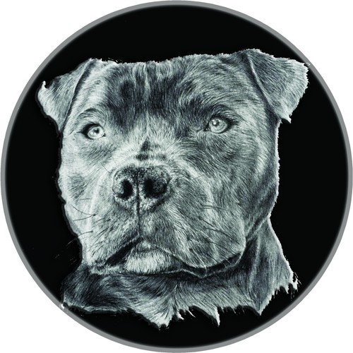 Spare wheel cover - wheel,