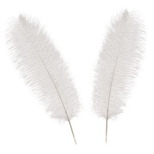 Large Ostrich Feathers Plume
