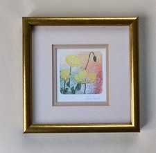 Yellow Poppy Watercolour By Judy Ball Framed 20 x 20 cm (Print 73 x 73 mm)