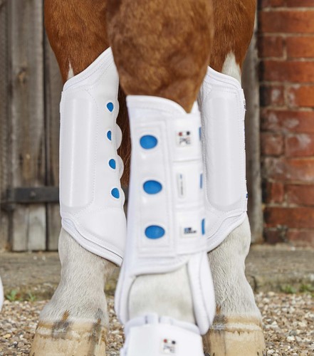 Premier equine air - air, cooled
