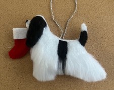 AMERICAN COCKER SPANIEL  with