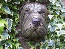 LARGE SHARPEI SHAR PEI DOG HEAD BRONZED STONE WALL GARDEN HANGING SCULPTURE