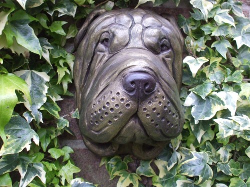 Large sharpei shar pei - large,