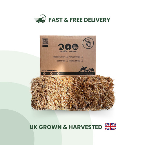 Barley straw box - barley, golden