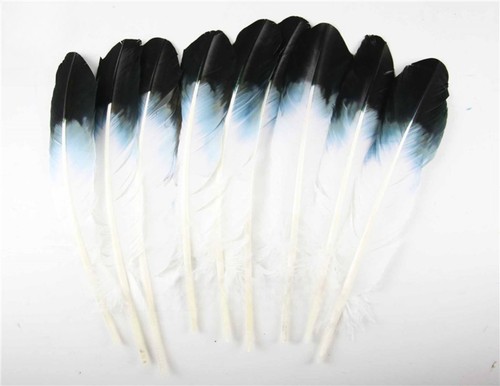 100pcs black white turkey - 10/100pcs,
