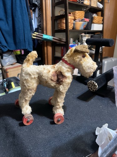 Vintage fox terrier - , dog
