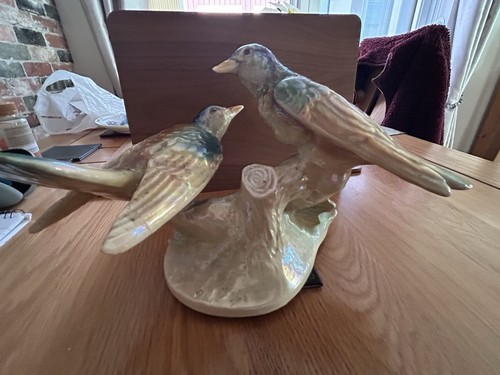 Jema holland 416 - holland, bird